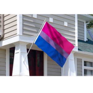 Bi Pride Flag - Bisexual Flags Polyester with Brass Grommets 3 X 5 Ft