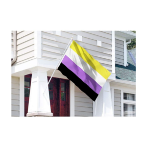 Non-Binary Pride Flag - NB Pride Genderqueer Gender Identity Flags Polyester with Brass Grommets 3X5 Ft