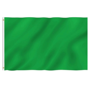 Plain Green Flags Polyester with Brass Grommets 2 X 3 Ft