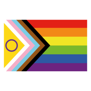 New progress Pride Flag