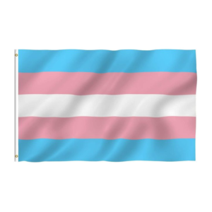 Transgender pride flag