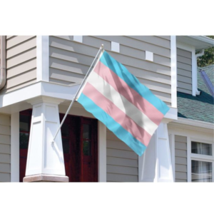 Transgender pride flag