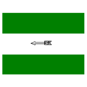 JDU Party Flag