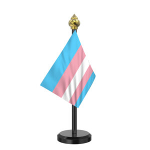 Transgender Pride Flag | Pink Blue Rainbow Pride Car Flag Stand | Single Black Acrylic