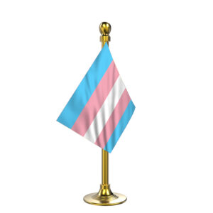 Transgender Pride Flag | Pink Blue Rainbow Pride Car Flag Stand | Single Gold Acrylic